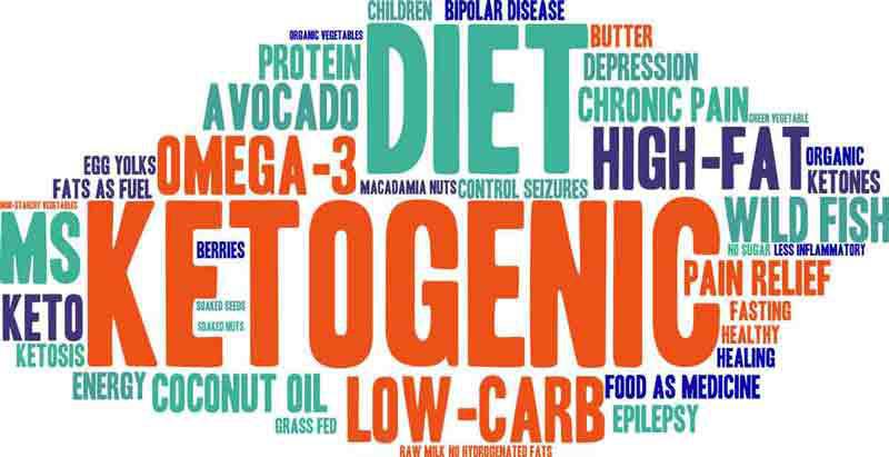 The Ketogenic Diet