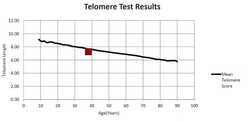 Telomere Test Results