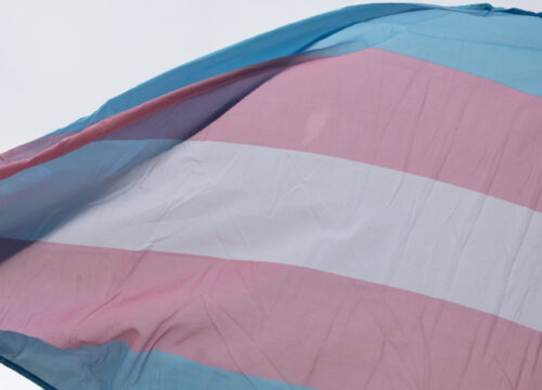 Transgender flag